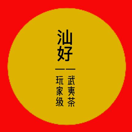 汕好-武夷茶玩家级