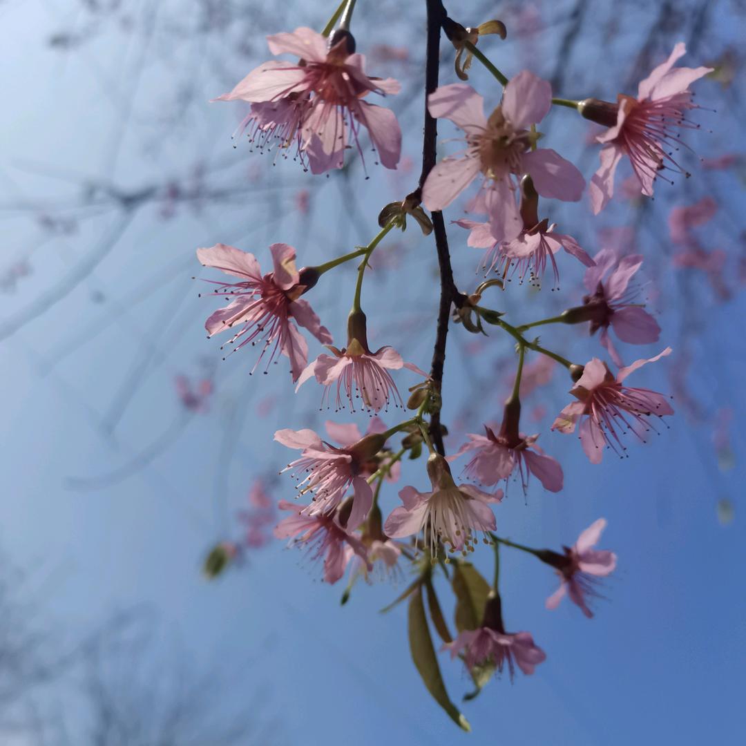 佛山市禅城区欧霖装饰设计室