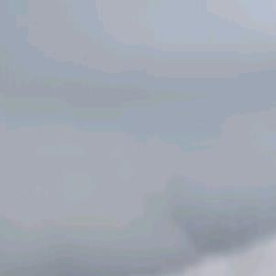吃了就睡