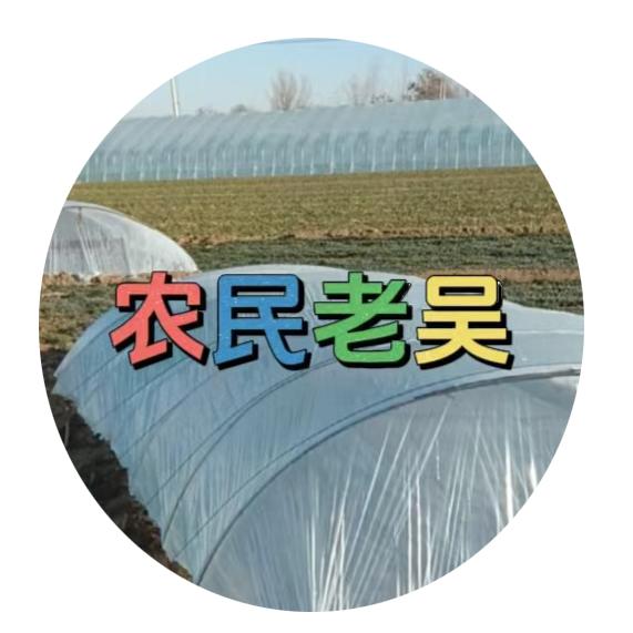 慢步人生勇往直前