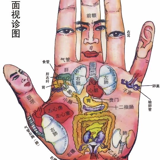 一览众山小