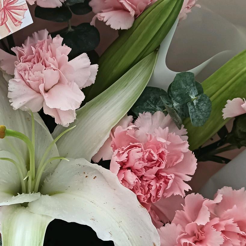 ✿*海 *:ஐ٩纳｡百川