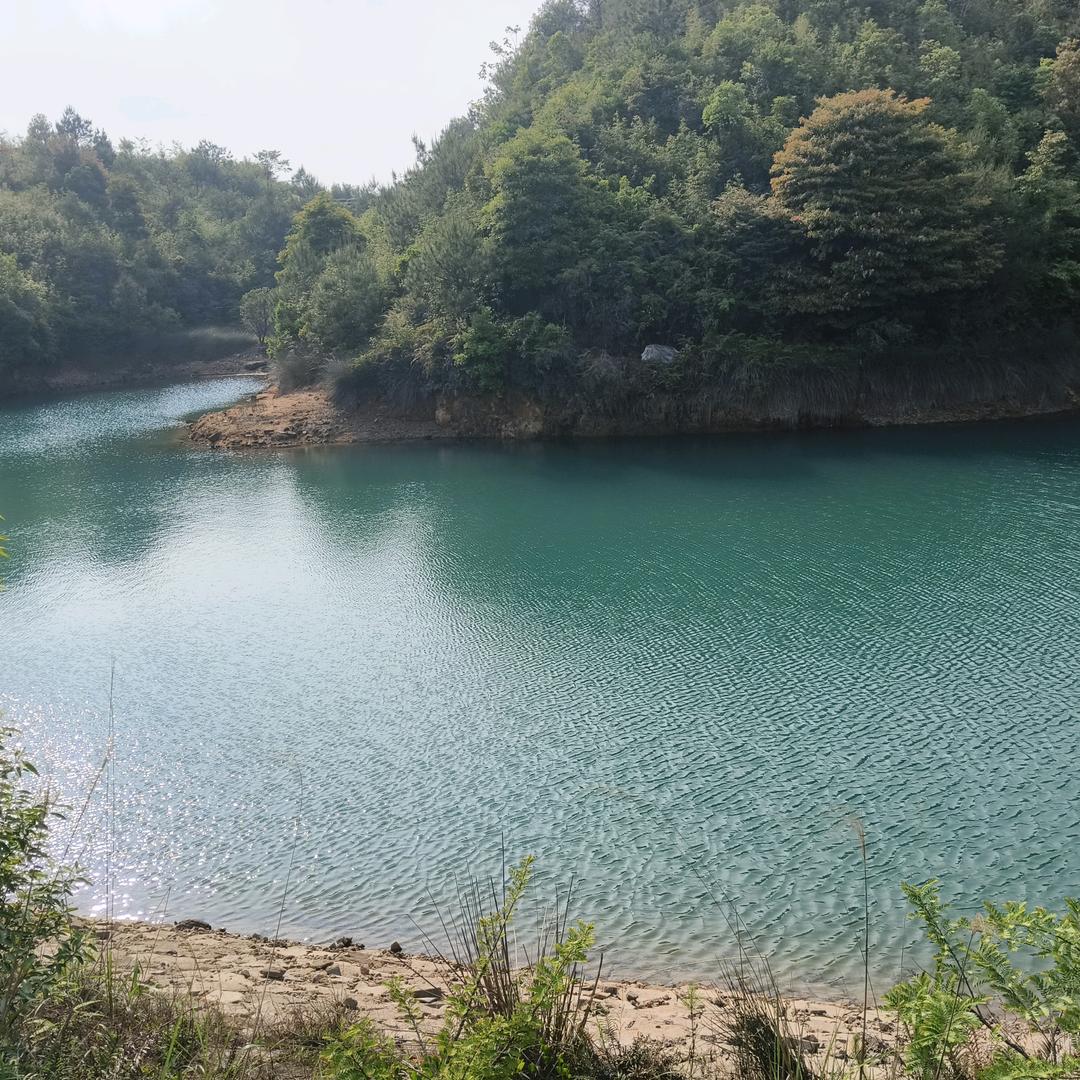 户外野炊露营严选