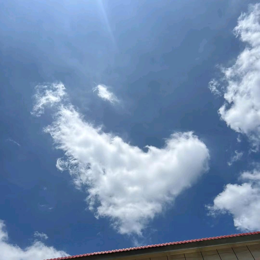 田聪
