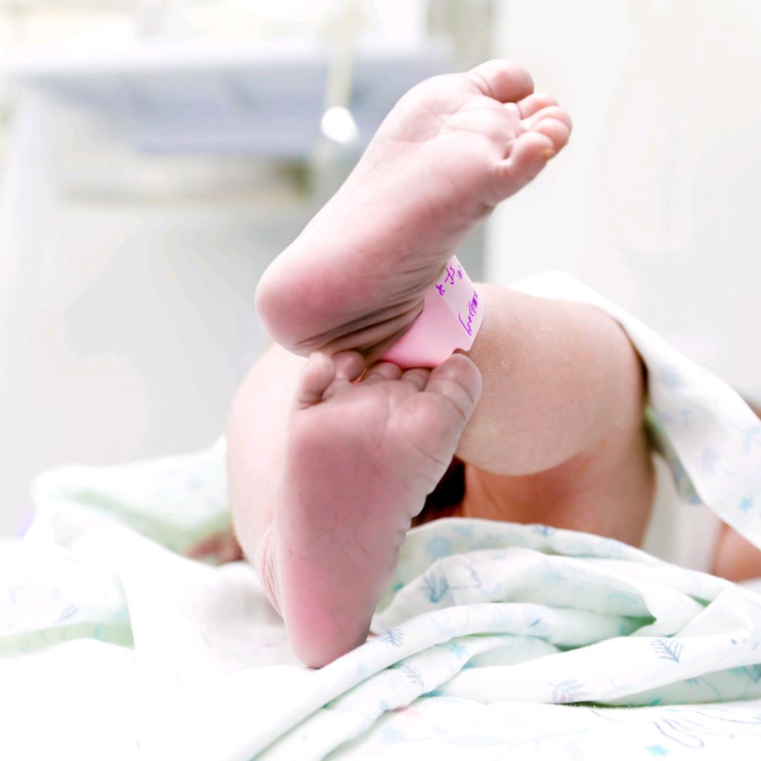 爆米花爱吃鱼🐟