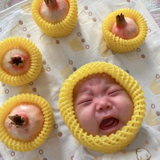 一路高歌走四方