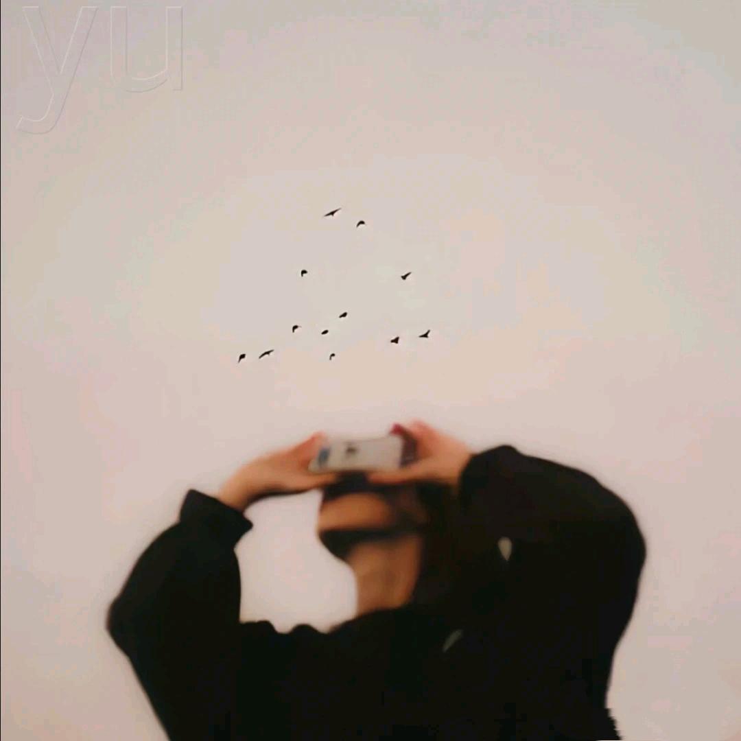 圭零