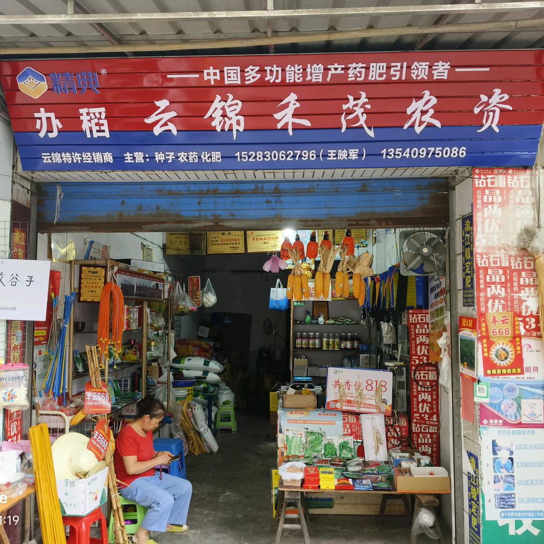 泸县云锦禾茂农资王映军