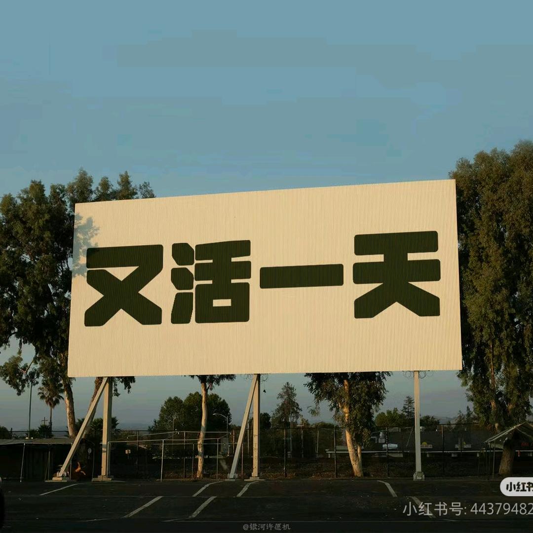 小妮子i