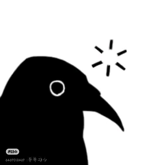 十字白鸦