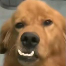 我讨厌上学！！