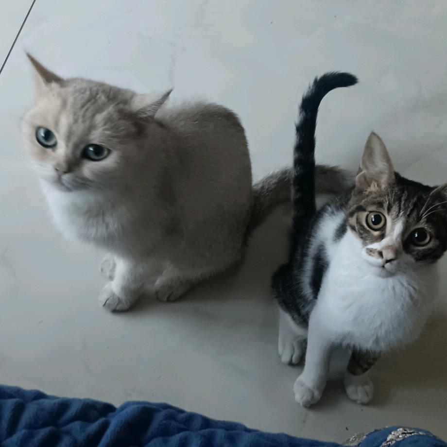 🐰“幸福长刘”🐰