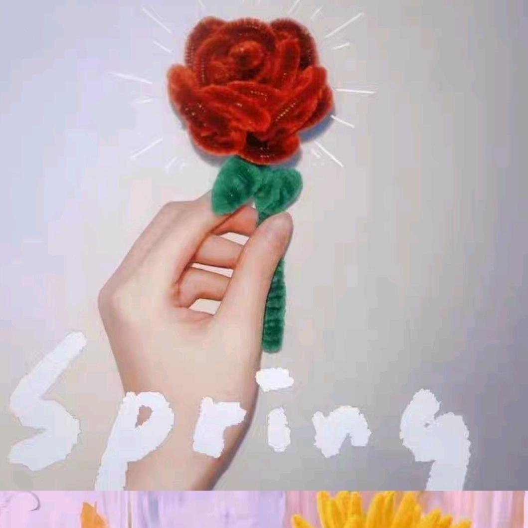 🌹顺李成张🌹