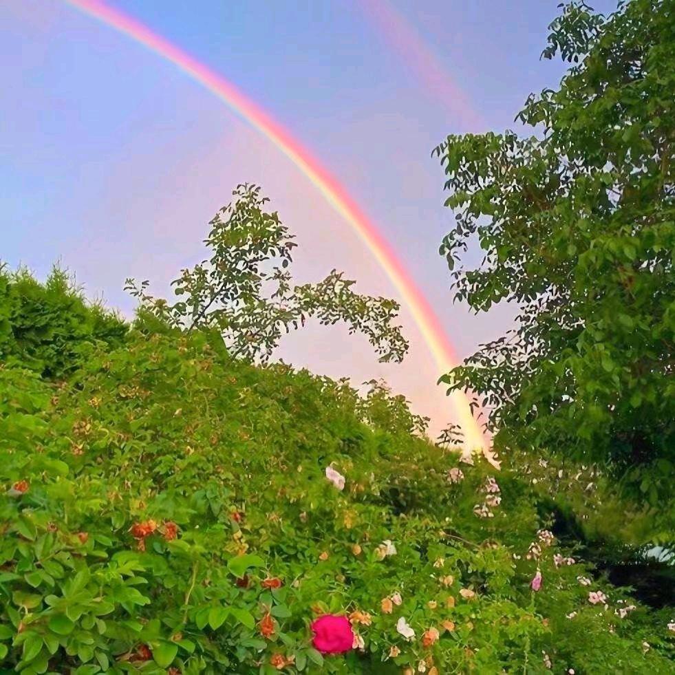 。。。。。。。。