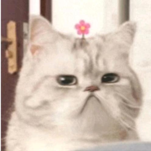 二拾二