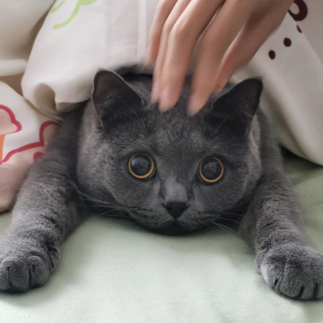 米朵麻麻