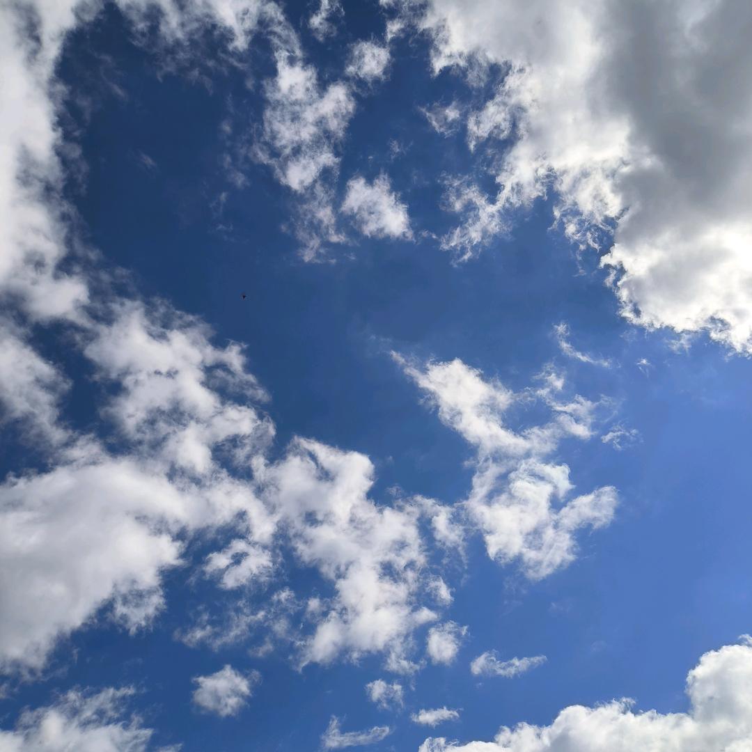 TY001