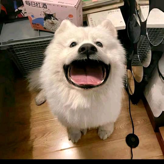 颊边痣