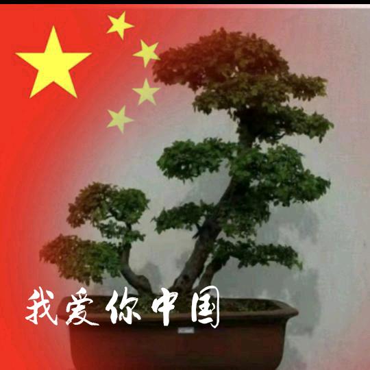 宁静致远