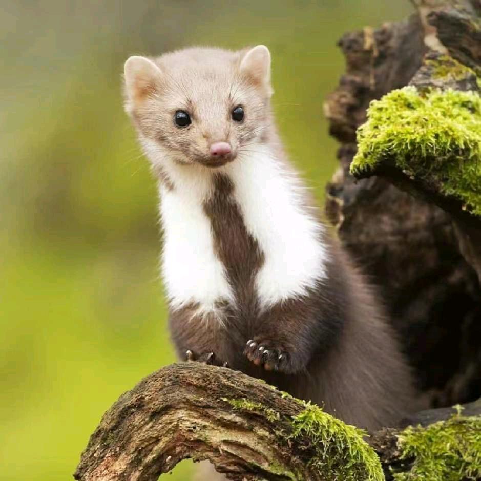 平凡🎏的🎣人🐠生