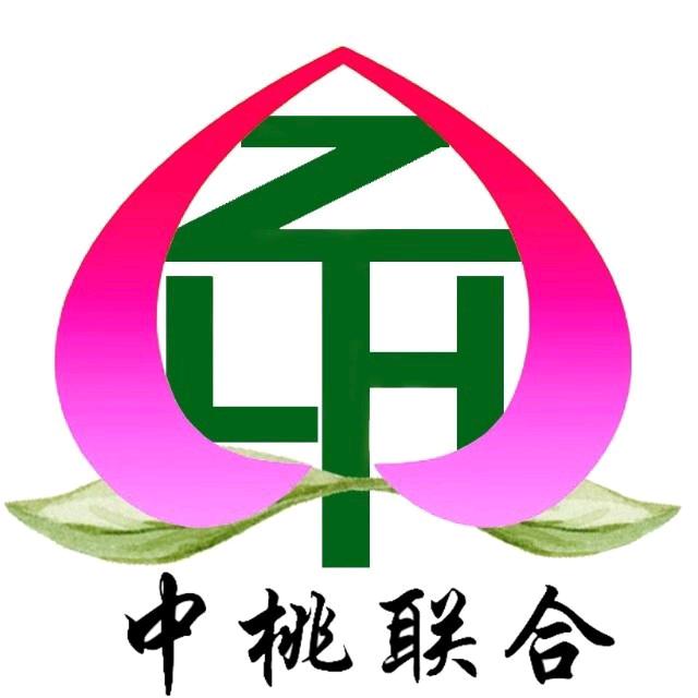 小桃灼灼（郑果所）
