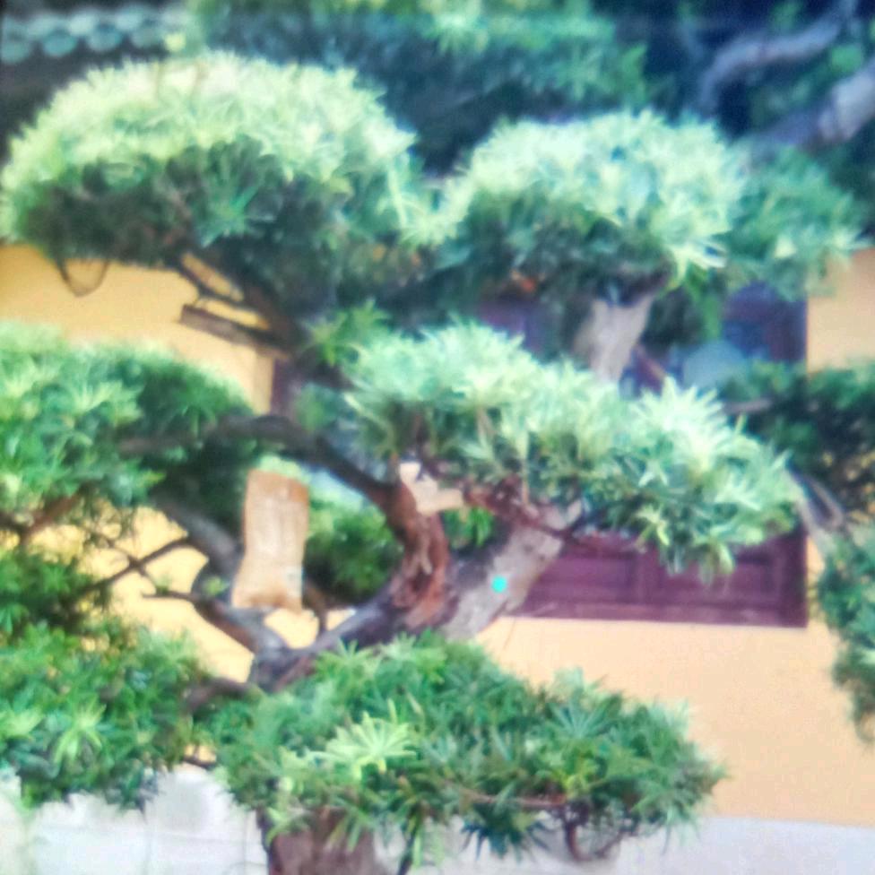 雨过天睛