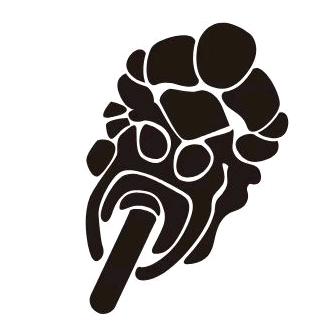 卡迪微骑行装备