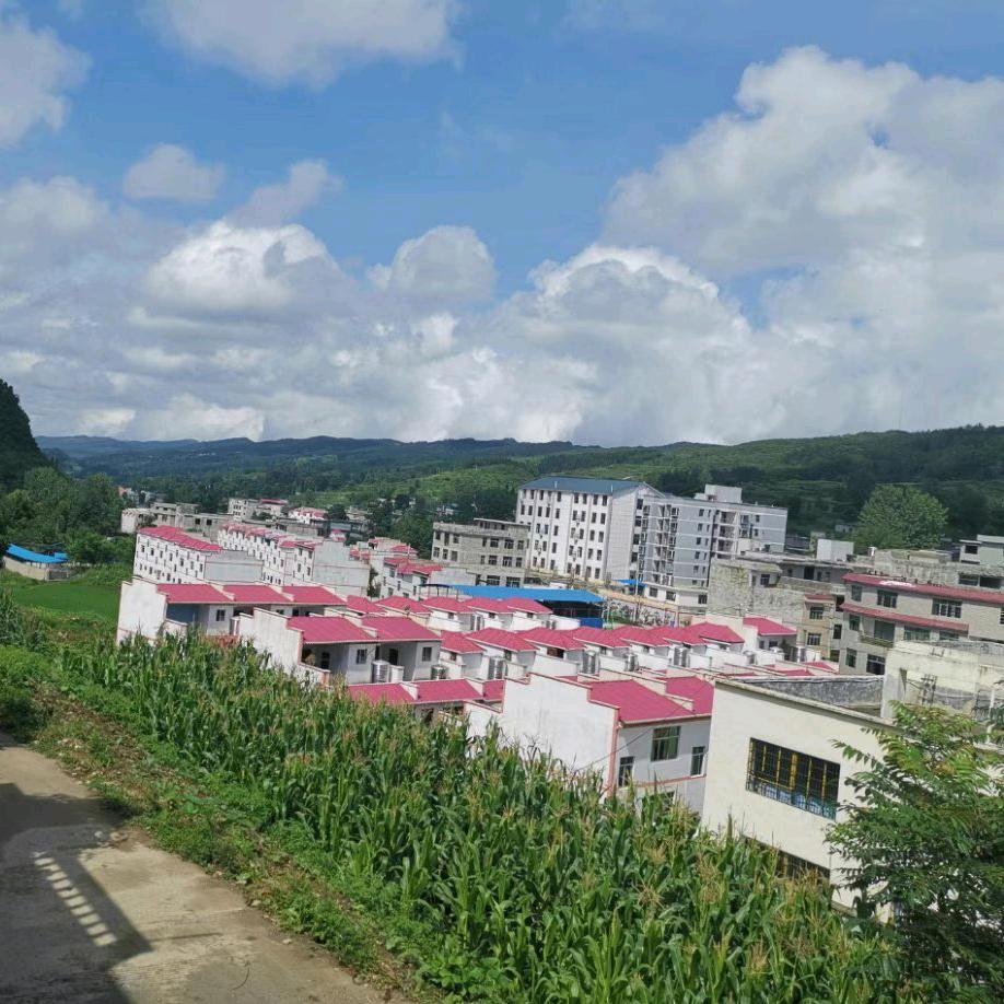 我的冬天