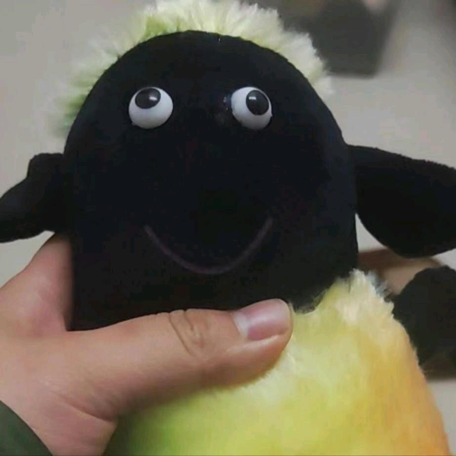 秾立宠物生活坊