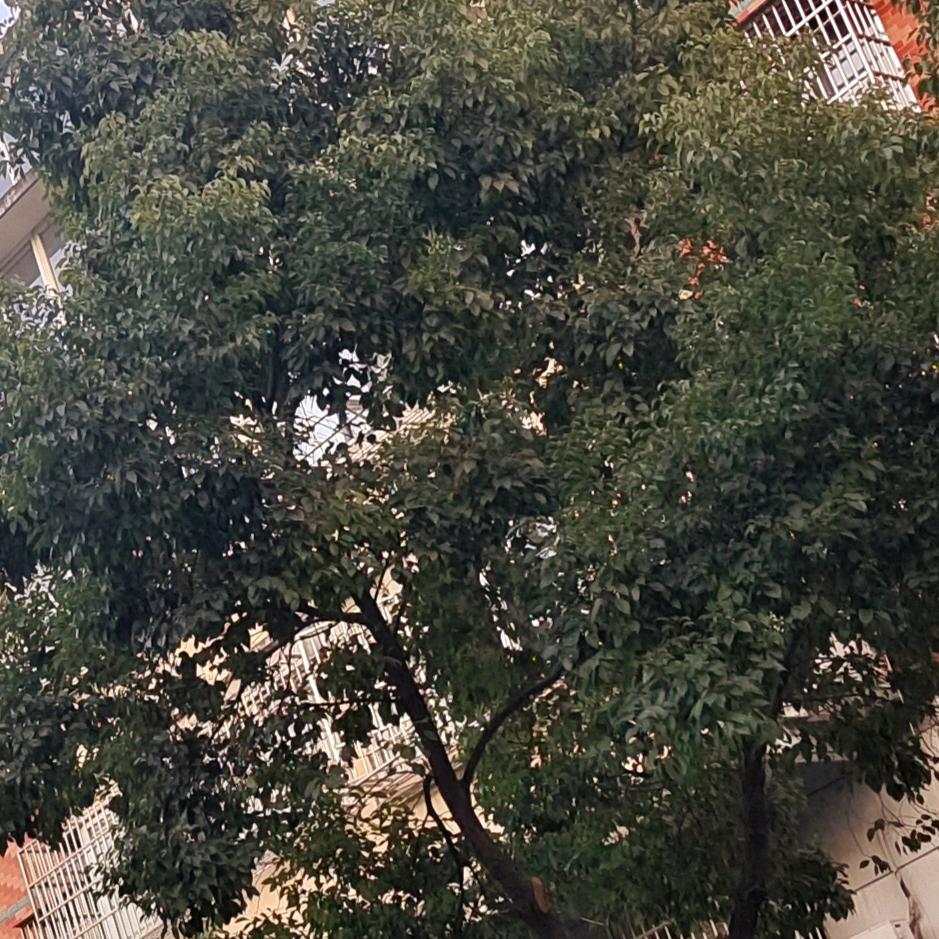 遇见