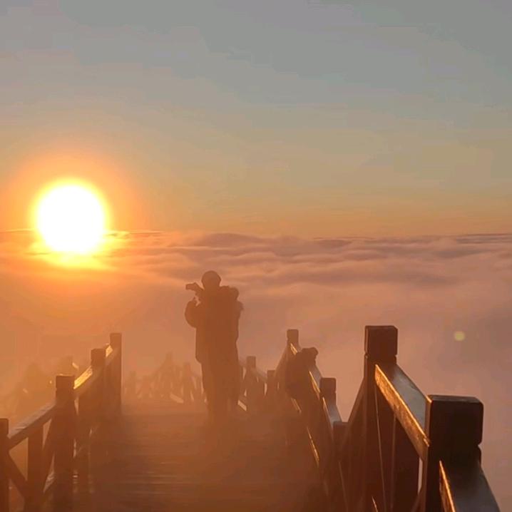 蓝桉已枯，释怀已飞