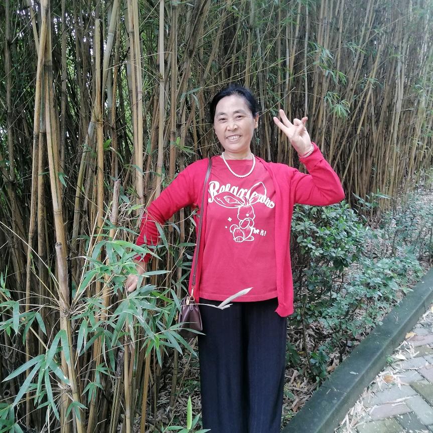 农村刘大姐