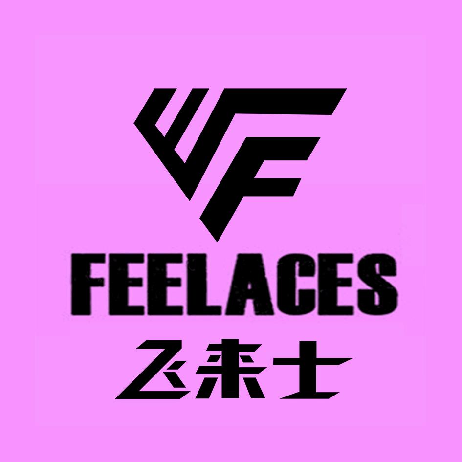 飞来士足球体育