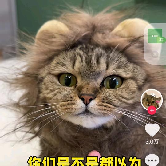 萌蒋团西瓜