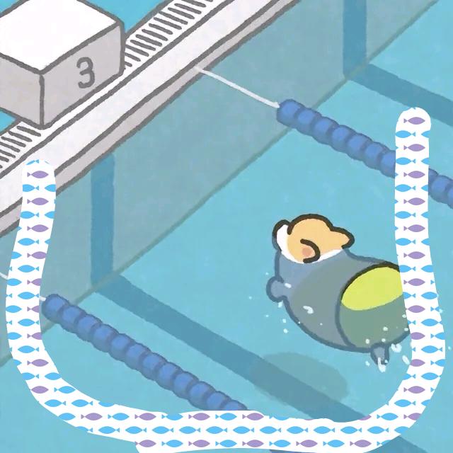 A晟皓体育游泳陈教练