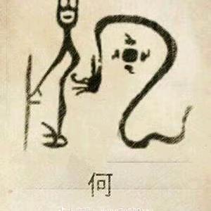 涛哥
