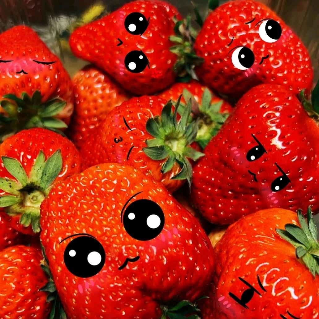 平原湖大康牛奶草莓采摘园🍓