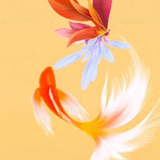 静等花开！