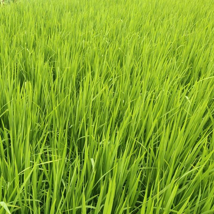 遇见珍惜