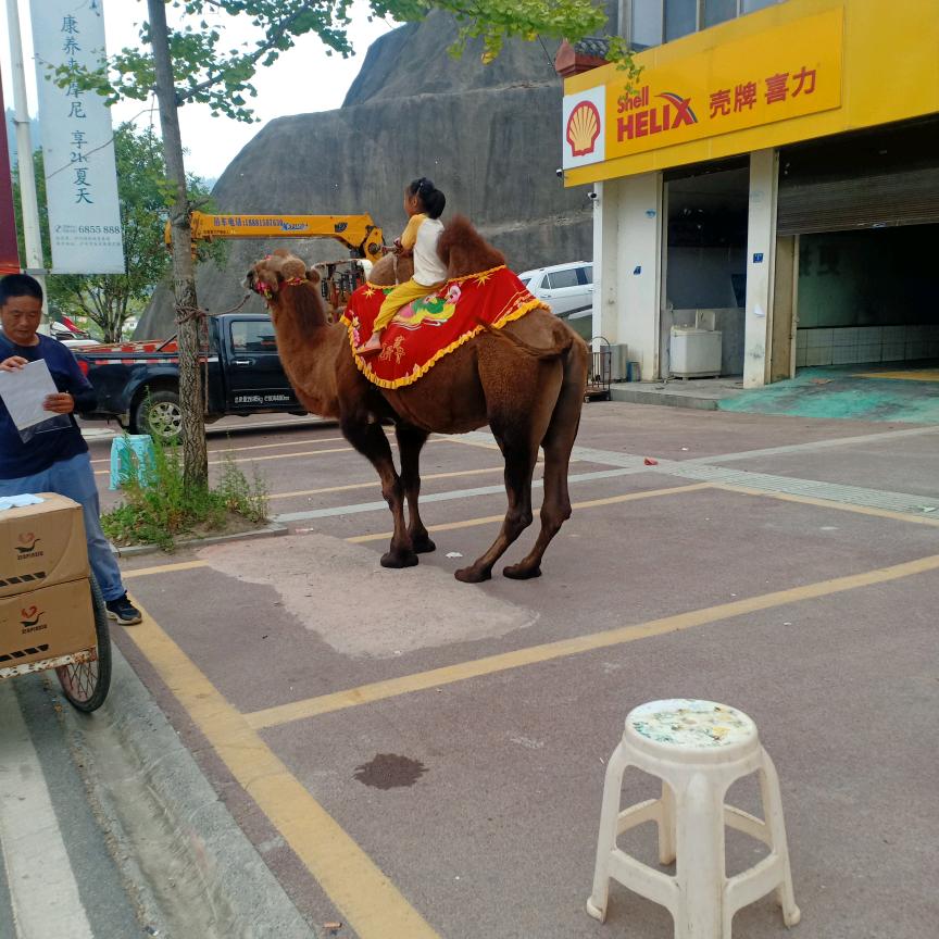 孤独在天涯