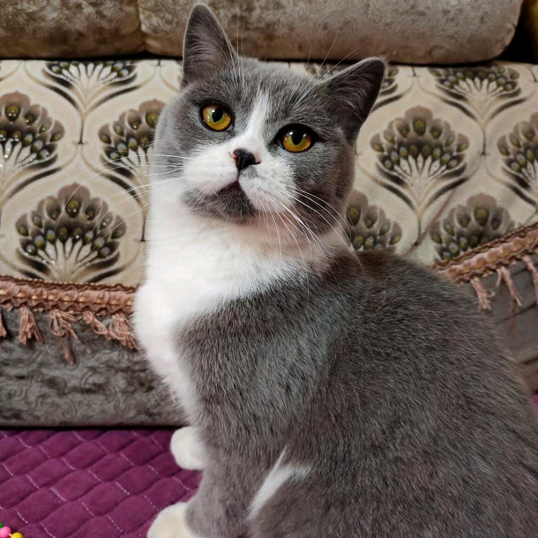 媛来你也在这里