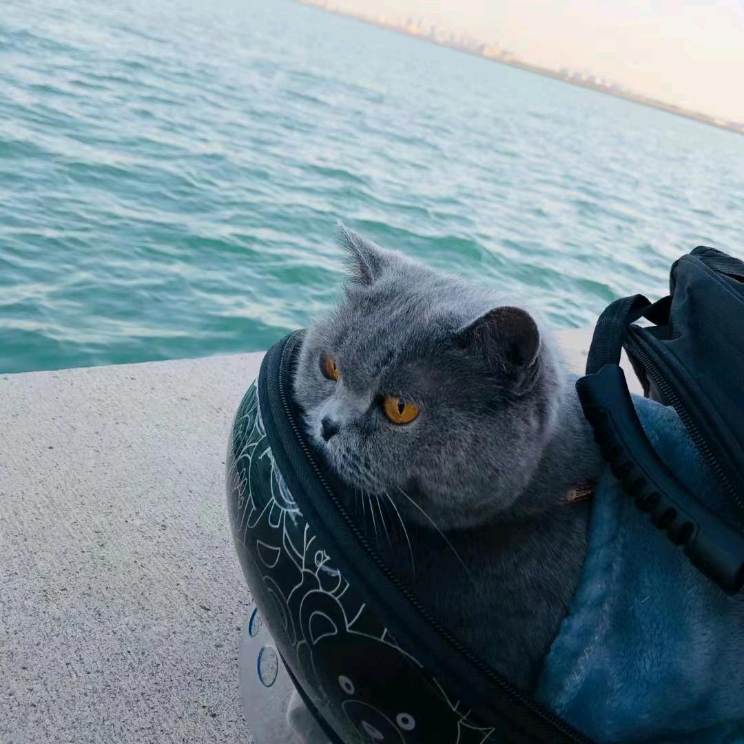 姑苏城外刘胖胖