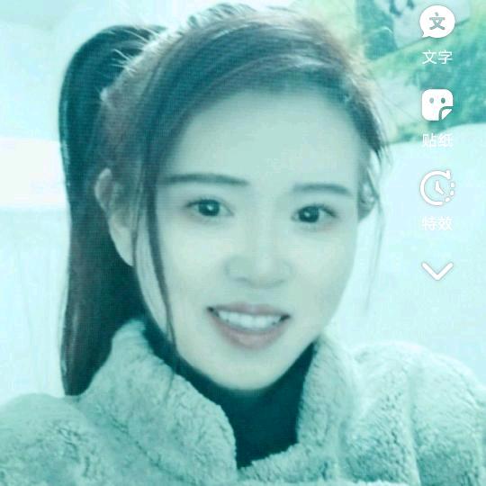 梅花四季