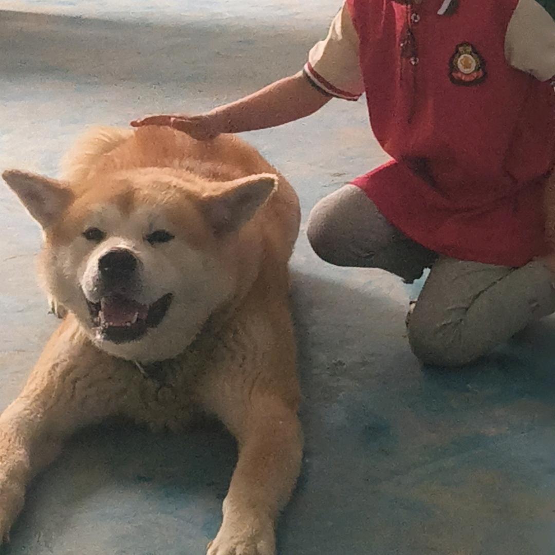 快乐每一天