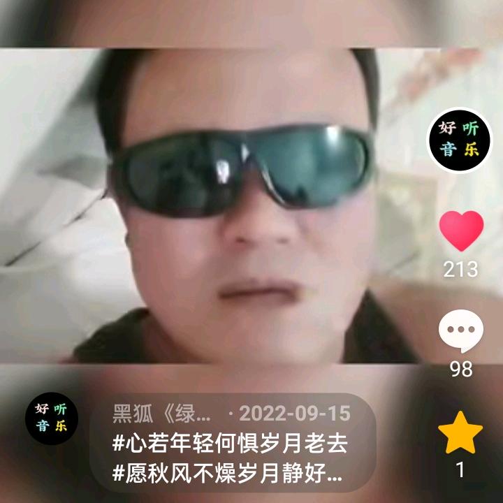 黑狐《绿色家政》