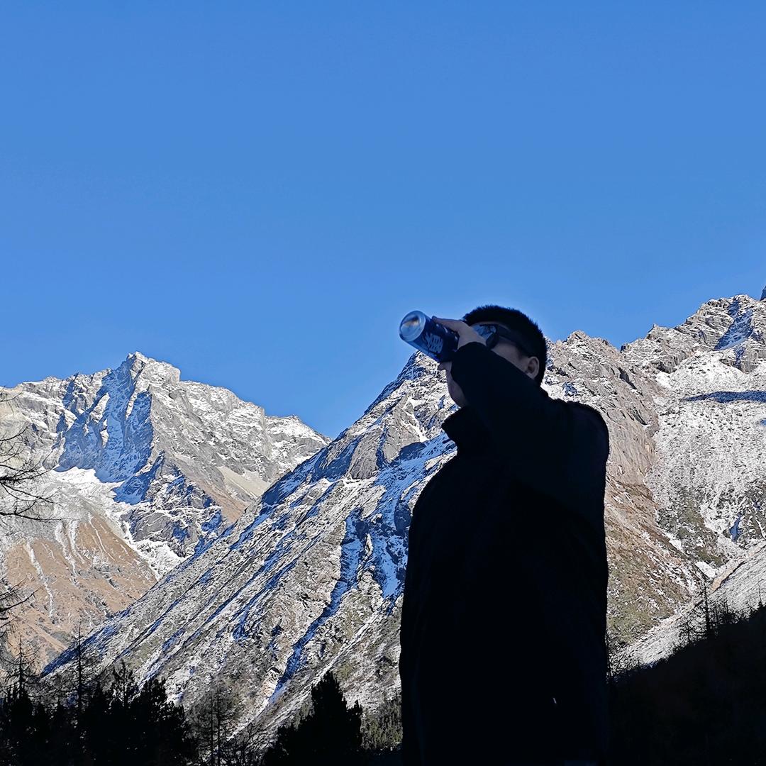 一条小锦李