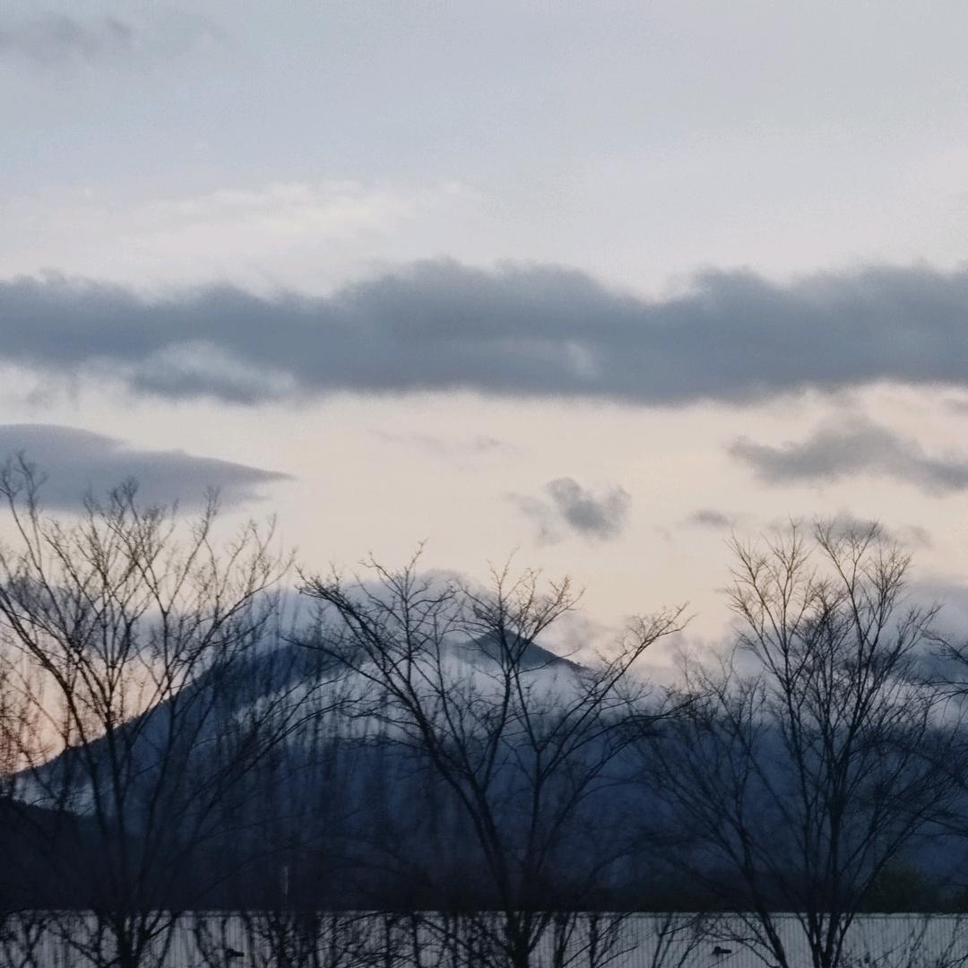 我在画呢