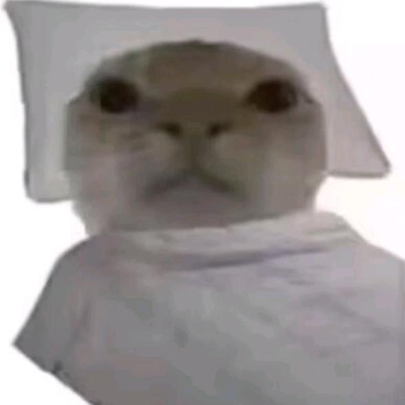 瑕瑕
