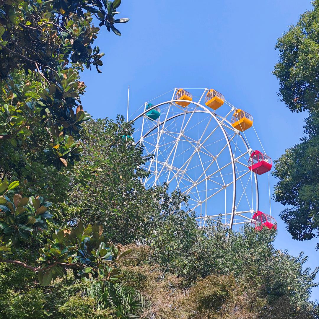 💞 დ᭄重启ঞᩚ