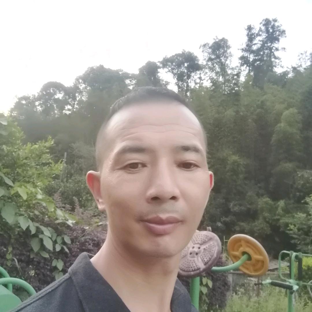 湖南岳阳好风光